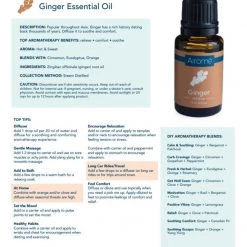 Posh Novi Sales Store 38 Airome Cozy Home Life 100% Pure Essential Oil - Ginger