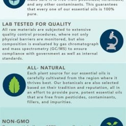 Airome 100% Pure Essential Oil - Vanilla Dream