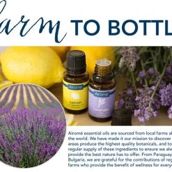 Airome 100% Pure Essential Oil - Head Up Cozy Home Life